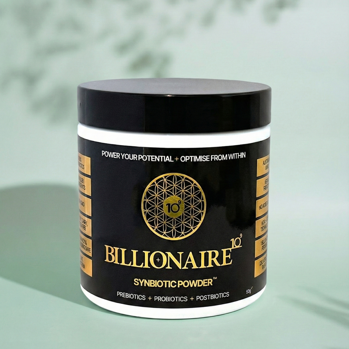 Billionaire109 Synbiotic Gut Health Powder 90gm | Prebiotics + Probiotics + Postbiotics | 30 Day Supply